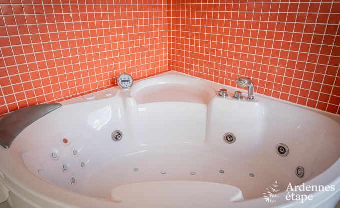 Spacious luxury villa with swimming pool in Hastire, Ardennes