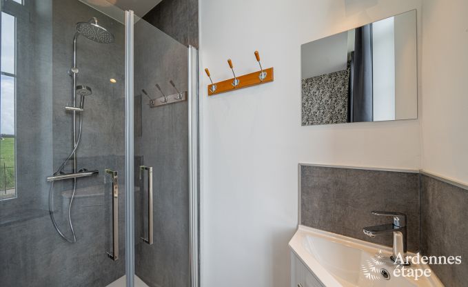 Magnificent holiday home for 14 people in Havelange