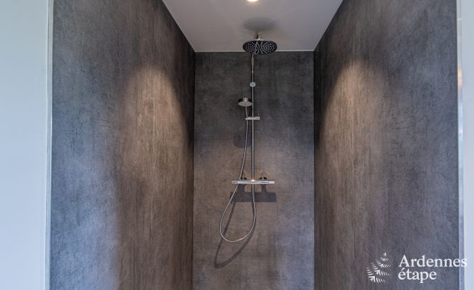 Magnificent holiday home for 14 people in Havelange