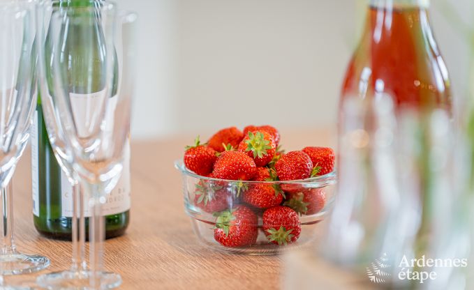 Magnificent holiday home for 14 people in Havelange