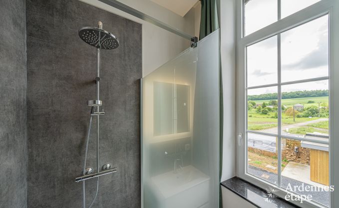 Magnificent holiday home for 14 people in Havelange