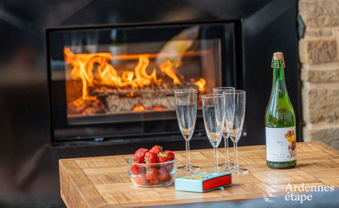 Magnificent holiday home for 14 people in Havelange