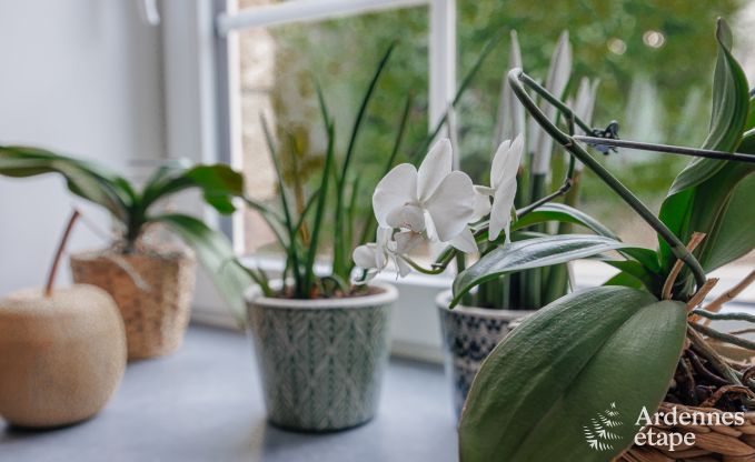 Holiday cottage in Havelange for 6 persons in the Ardennes