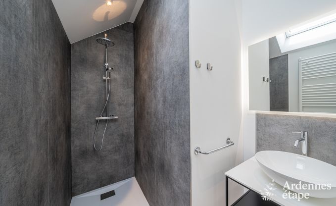 Magnificent holiday home for 14 people in Havelange