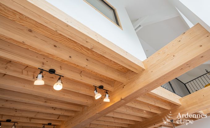 Magnificent holiday home for 14 people in Havelange