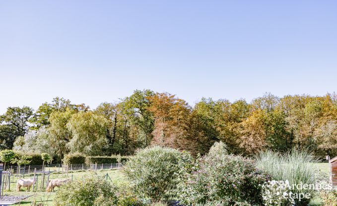 Holiday cottage in Havrenne for 6 persons in the Ardennes