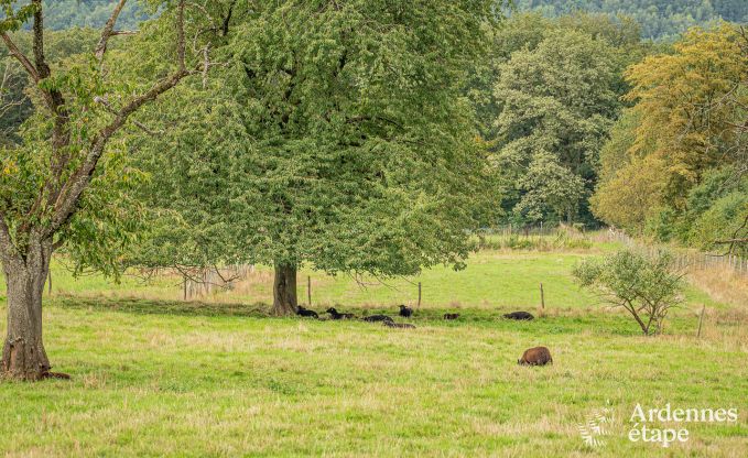 Holiday cottage in Hron for 8 persons in the Ardennes