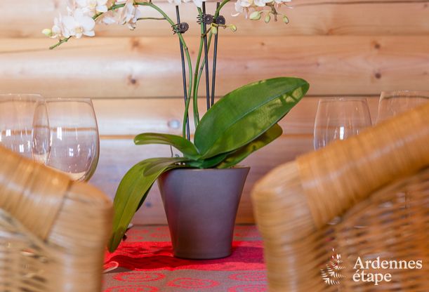 Holiday cottage in Hockai for 4/5 persons in the Ardennes