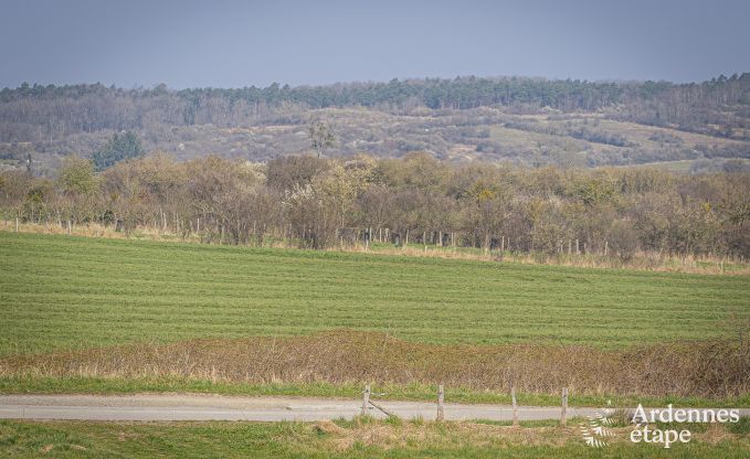 Luxury villa in Hotton for 12 persons in the Ardennes
