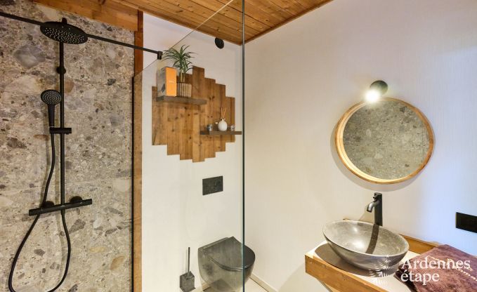 Chalet in Hotton for 6 persons with swim spa, hot tub and outdoor sauna near Durbuy