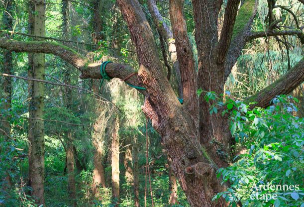 Holiday cottage in Hotton for 9 persons in the Ardennes