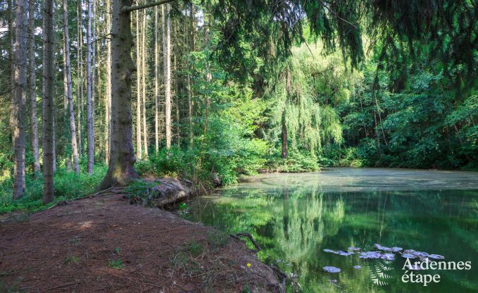 Holiday cottage in Hotton for 9 persons in the Ardennes