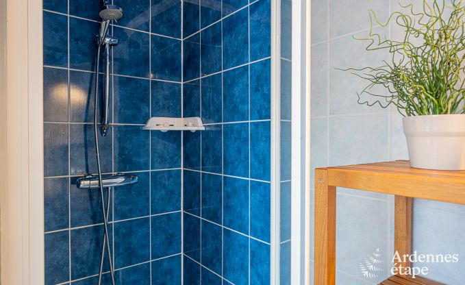 Holiday cottage in Houffalize for 11 persons in the Ardennes