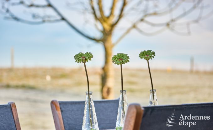 Cosy holiday home in Houyet: absolute calm for 4 people with a view of the Ardenne