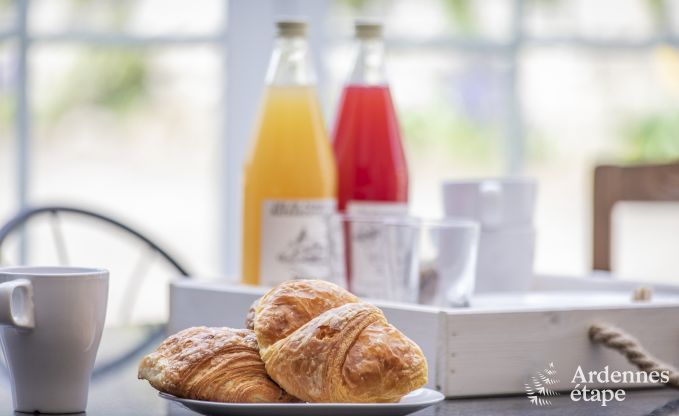 Holiday on a farm in Huy for 11 persons in the Ardennes