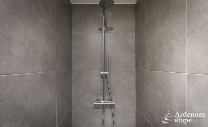 Holiday on a farm in Huy for 11 persons in the Ardennes