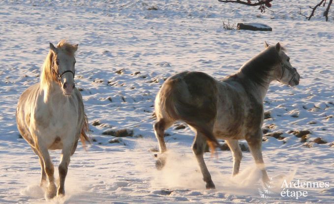 Holiday cottage in Jalhay (Spa) for 9 persons in the Ardennes