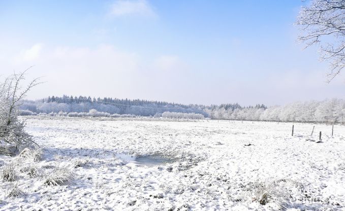 Holiday cottage in Jalhay (Spa) for 9 persons in the Ardennes