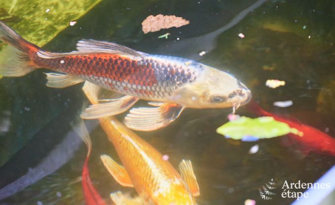 Holiday cottage in Jalhay for 9 persons in the Ardennes