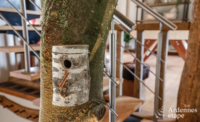 Luxury villa in Jalhay for 12/14 persons in the Ardennes