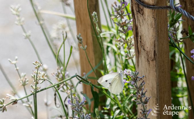 Luxury villa in Jalhay for 12/14 persons in the Ardennes