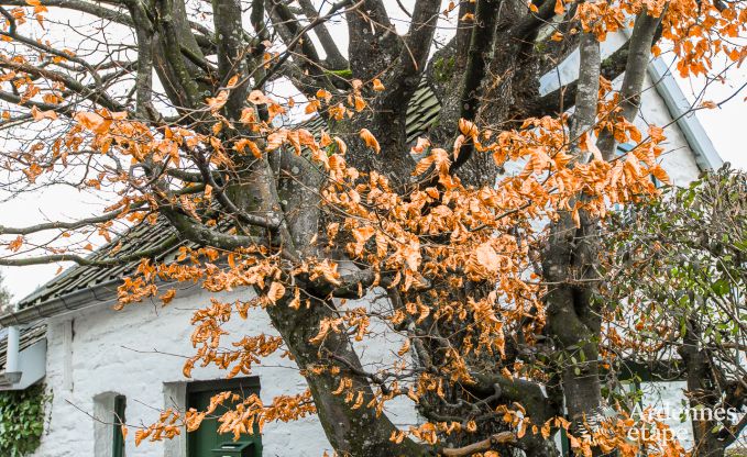 Holiday cottage in Jalhay for 2 persons in the Ardennes