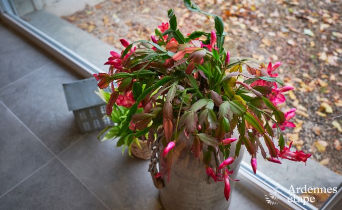 Holiday cottage in Jalhay for 8 persons in the Ardennes