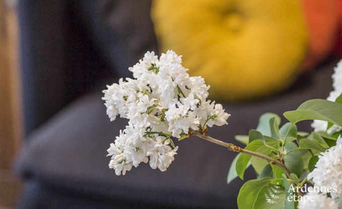 Holiday cottage in La Roche-En-Ardenne for 4 persons in the Ardennes