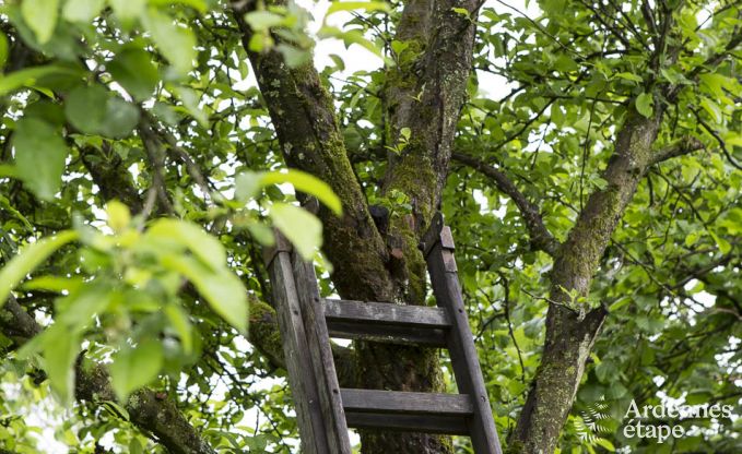 Holiday cottage in La Roche-En-Ardenne for 4 persons in the Ardennes