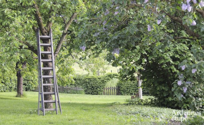 Holiday cottage in La Roche-En-Ardenne for 4 persons in the Ardennes