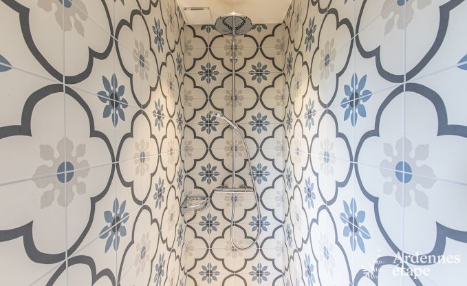 Luxury villa for 15 persons in Rendeux in the Ardennes