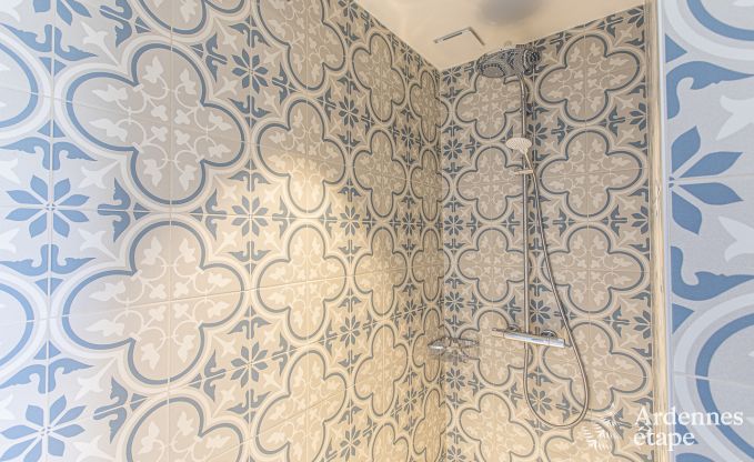 Luxury villa for 15 persons in Rendeux in the Ardennes