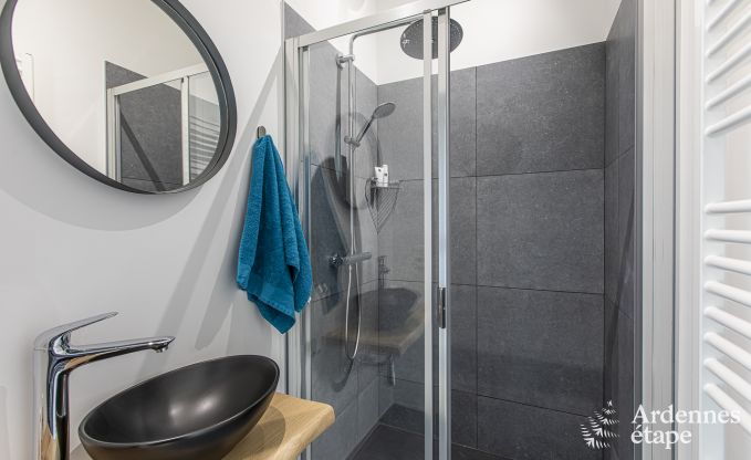 Luxury villa in La Roche-en-Ardenne for 17 persons in the Ardennes