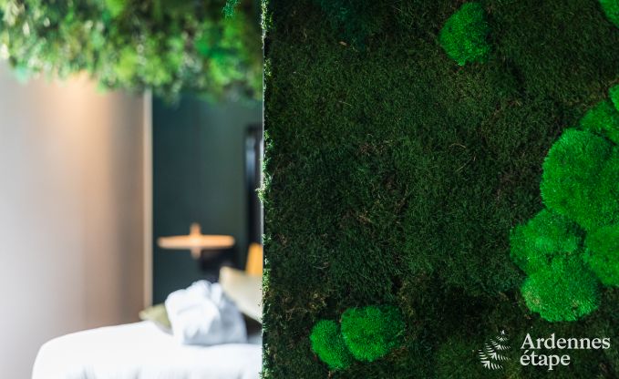 Holiday cottage in La Roche-en-Ardenne for 2 persons in the Ardennes