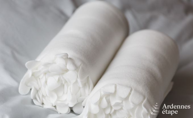 Luxury villa in La Roche for 9 persons in the Ardennes