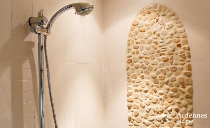 Luxury villa in La Roche for 9 persons in the Ardennes