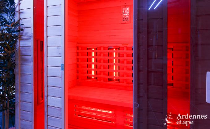 Luxury villa in La Roche for 9 persons in the Ardennes