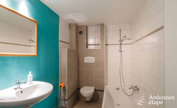 Luxury villa in La Roche for 9 persons in the Ardennes