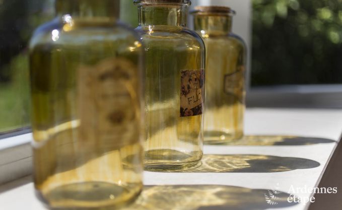 Holiday cottage in La Roche for 11/12 persons in the Ardennes