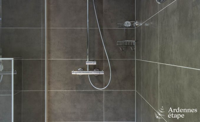 Holiday cottage in La Roche for 11/12 persons in the Ardennes