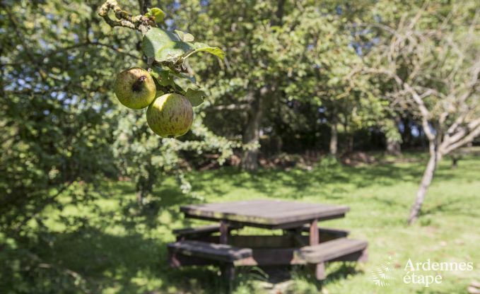 Holiday cottage in La Roche for 11/12 persons in the Ardennes