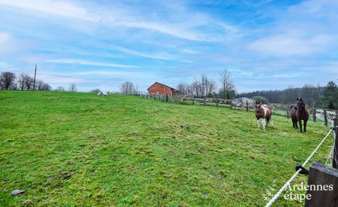 Peace and quiet assured in this charming chalet for 4 people with hot tub in the natural surroundings of Libin