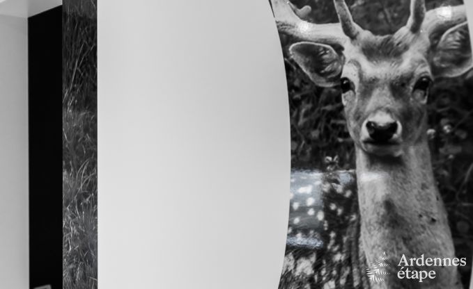 Holiday cottage in Libin for 11/14 persons in the Ardennes