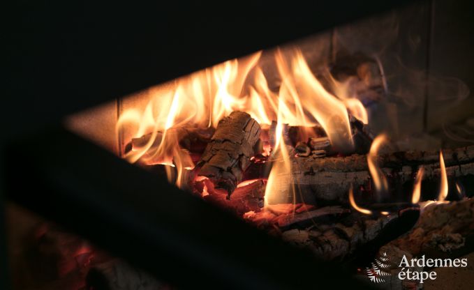 Holiday cottage in Libin for 11/14 persons in the Ardennes