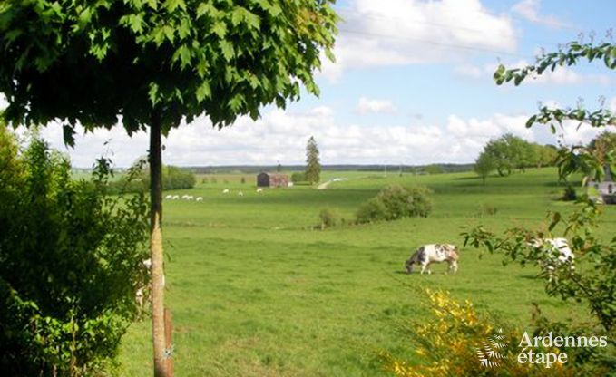 Holiday cottage in Libramont for 7/9 persons in the Ardennes