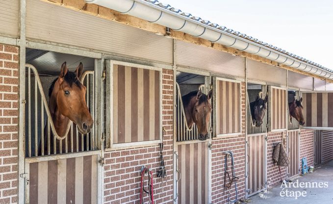 Holiday cottage in Libramont for 4/6 persons in the Ardennes