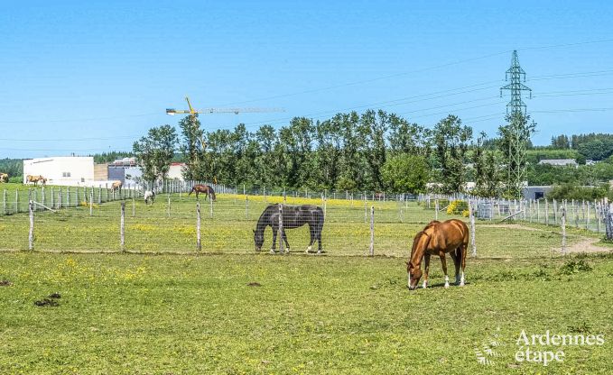 Holiday cottage in Libramont for 4/6 persons in the Ardennes