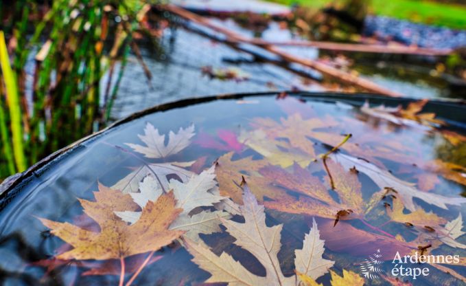 Holiday cottage in Libramont for 6 persons in the Ardennes