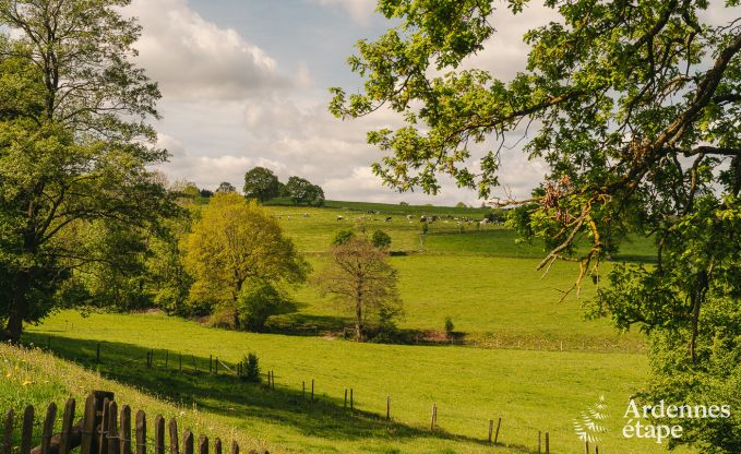 Holiday cottage in Lierneux for 15 persons in the Ardennes