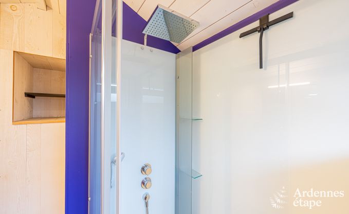 Comfortable holiday home for 4 people in Lierneux, Ardennes